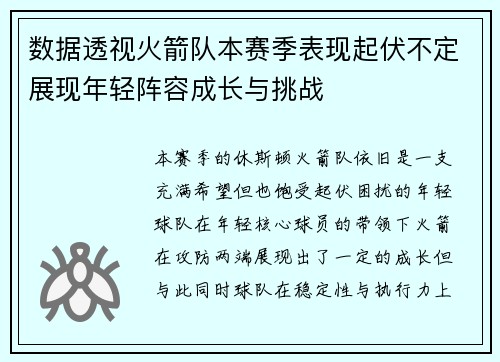 数据透视火箭队本赛季表现起伏不定展现年轻阵容成长与挑战 数据透视火箭队本赛季表现起伏不定展现年轻阵容成长与挑战